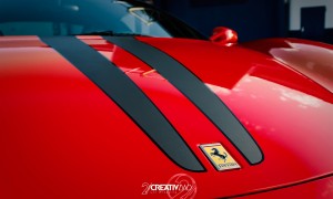 IMG 4954